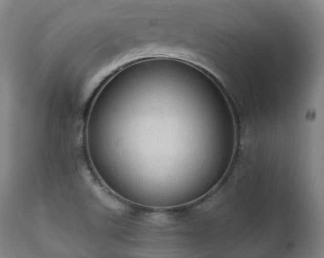 X0000112091507200908111339