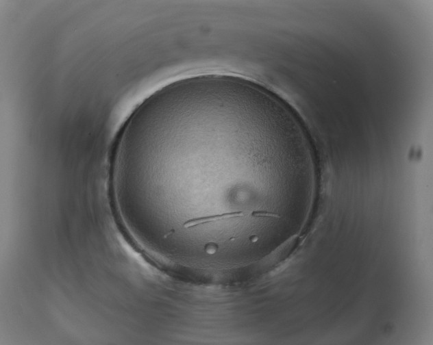 X0000112091508200908111339