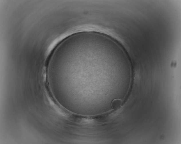 X0000112091509200908111339