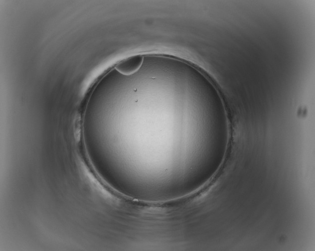 X0000112091510200908111339