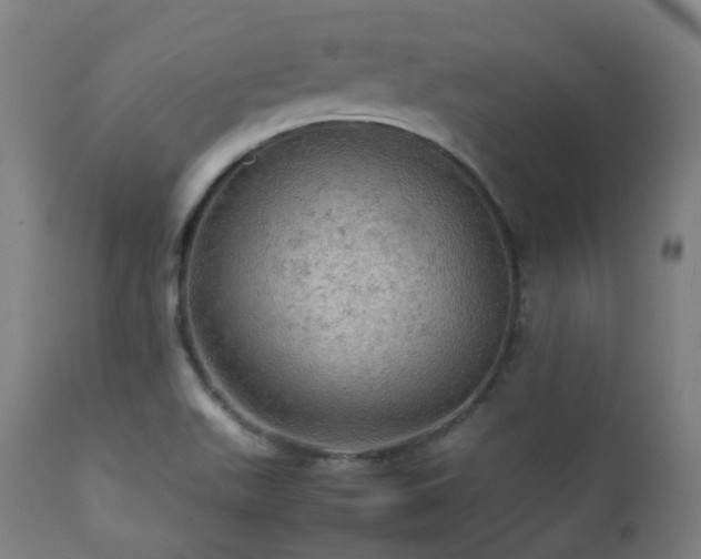 X0000112091511200908111339