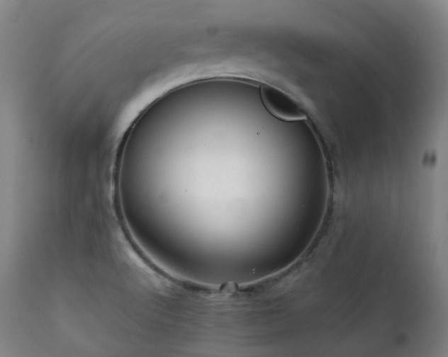 X0000112091512200908111339