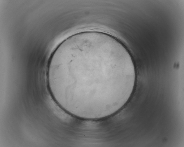 X0000112091514200908111339