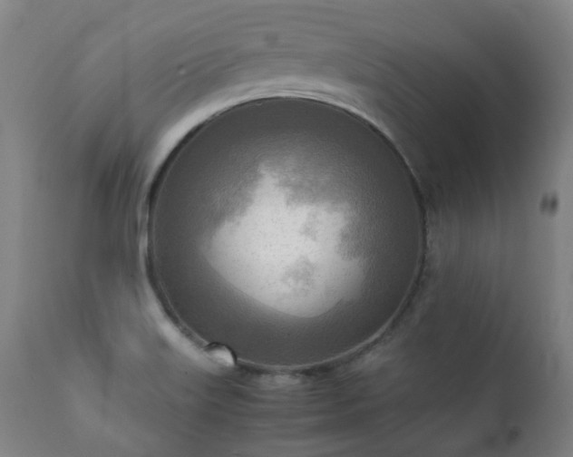 X0000112091515200908111339