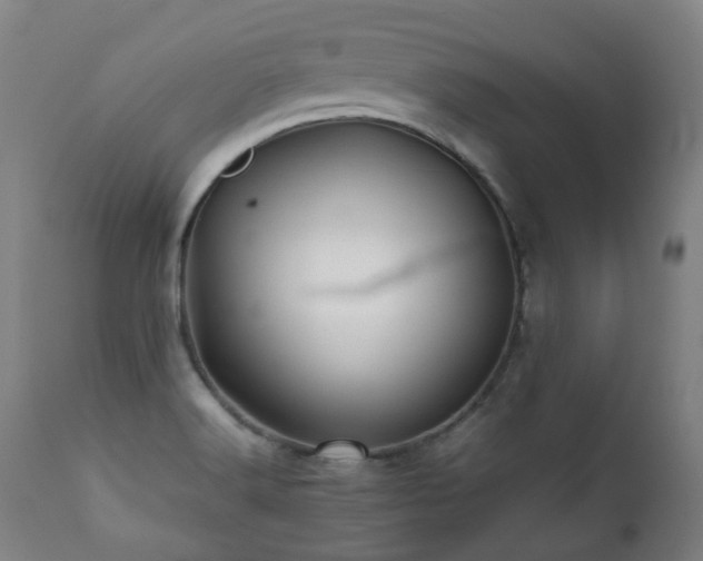 X0000112091516200908111339