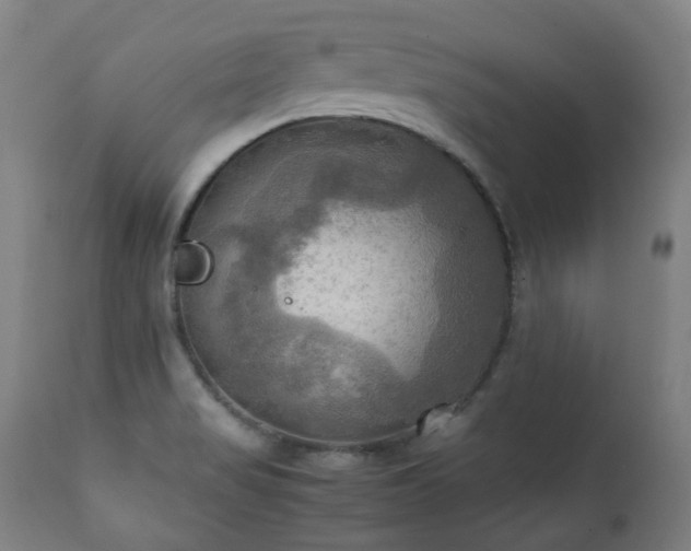 X0000112091517200908111339