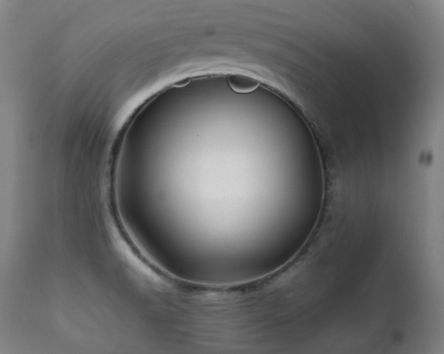 X0000112091518200908111339