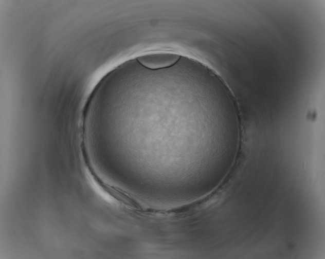 X0000112091519200908111339