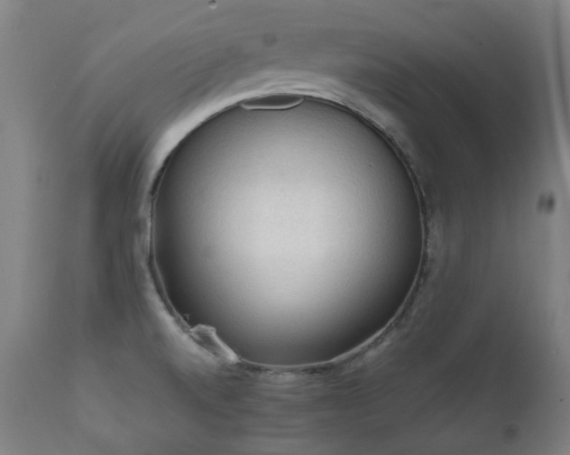 X0000112091520200908111339