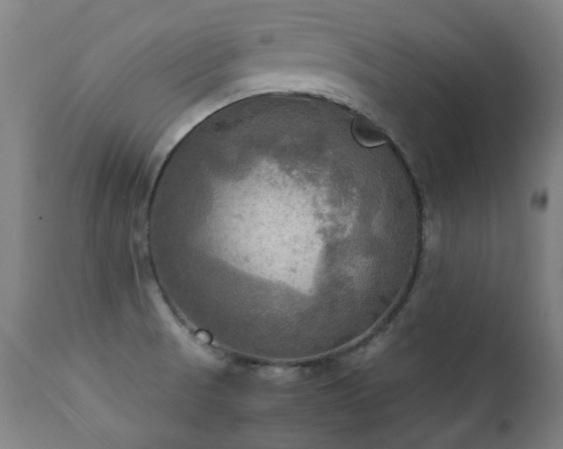 X0000112091521200908111339