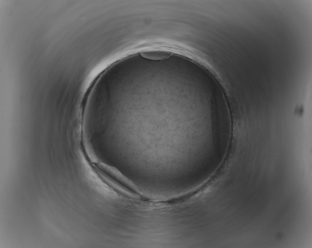 X0000112091522200908111339