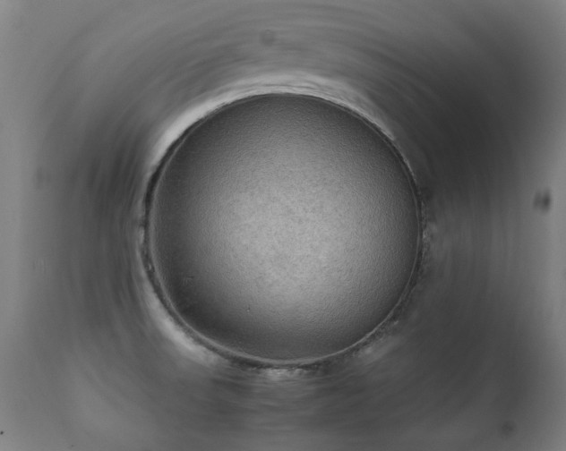 X0000112091523200908111339