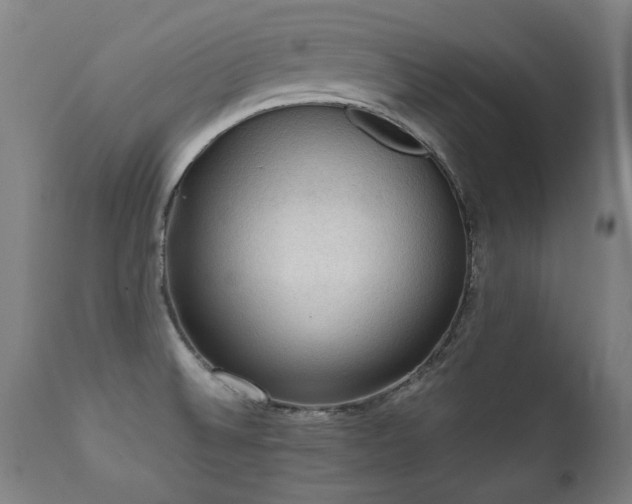 X0000112091524200908111339