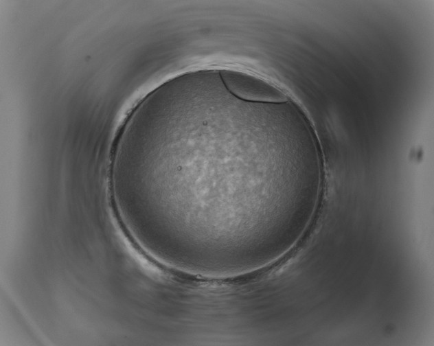 X0000112091525200908111340