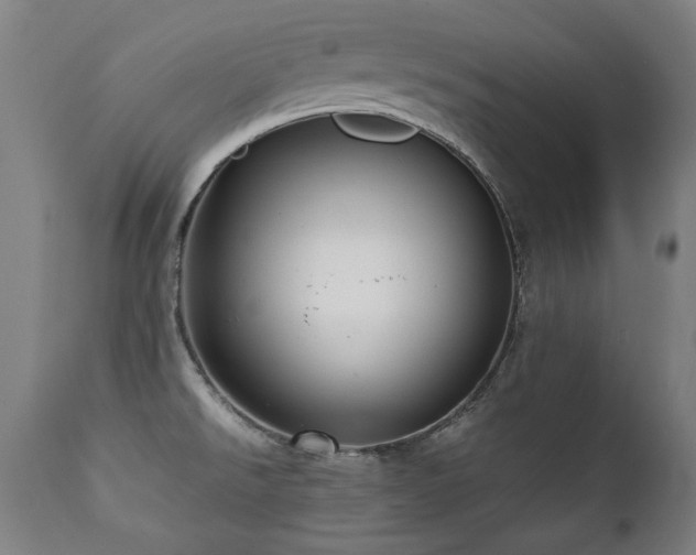 X0000112091526200908111340