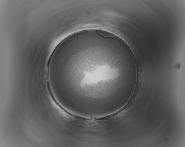 X0000112091527200908111340