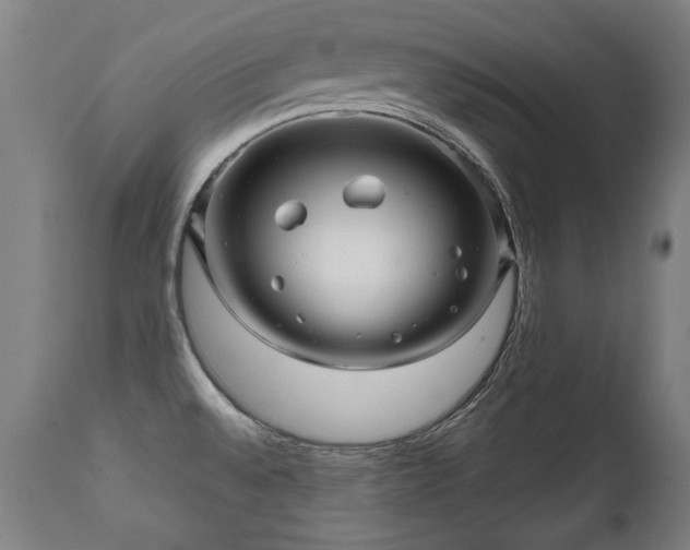 X0000112091528200908111340