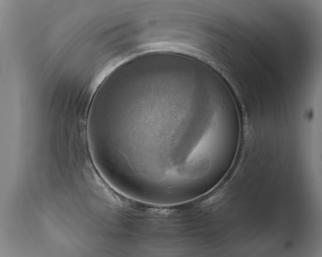 X0000112091529200908111340