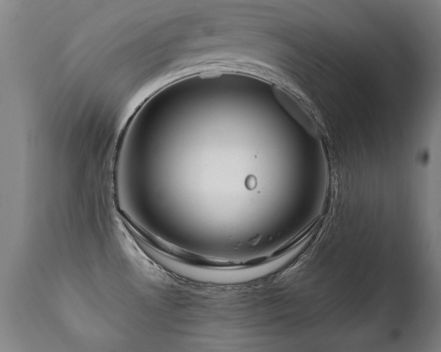 X0000112091530200908111340