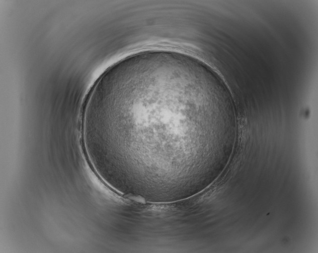 X0000112091531200908111340