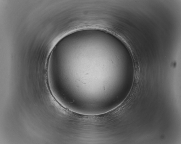 X0000112091532200908111340