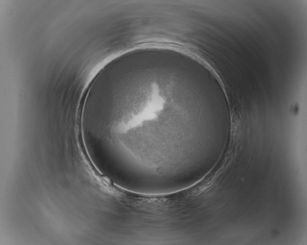 X0000112091533200908111340