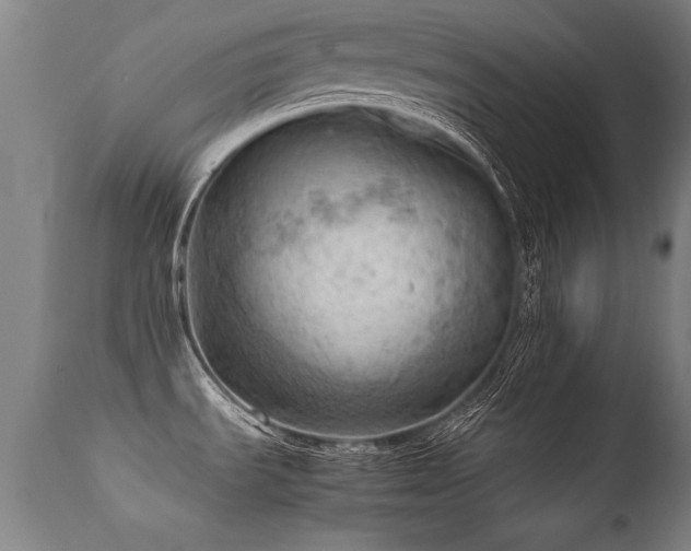 X0000112091535200908111340