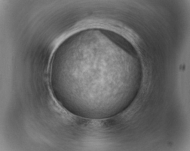 X0000112091536200908111340