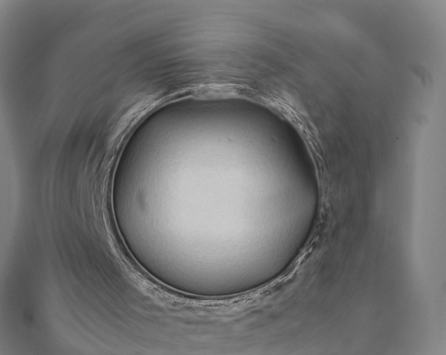 X0000112090001200908181313