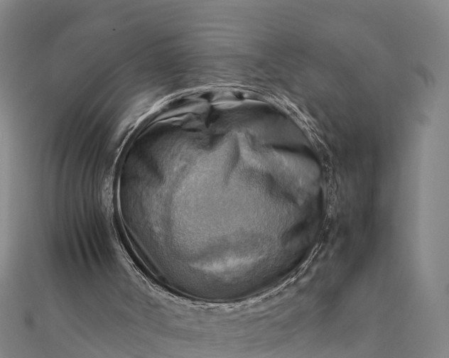 X0000112090002200908181313