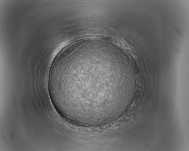 X0000112090003200908181313