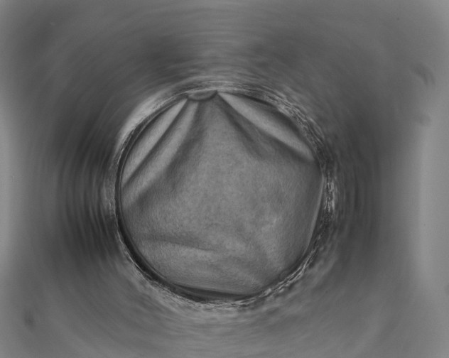 X0000112090004200908181313