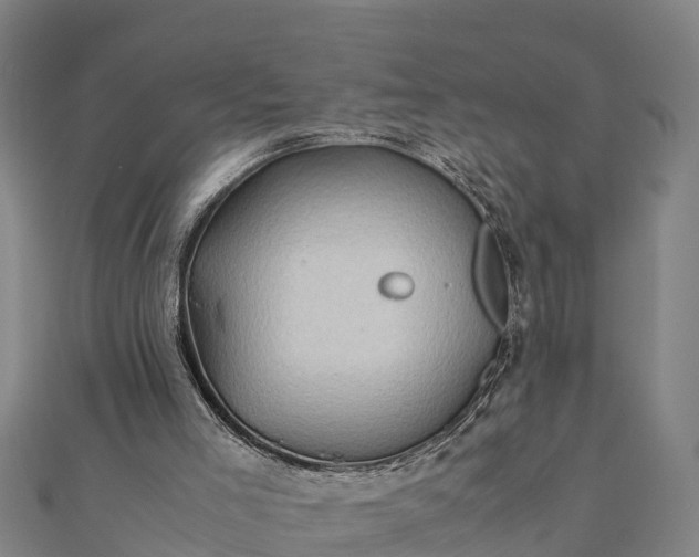 X0000112090005200908181313