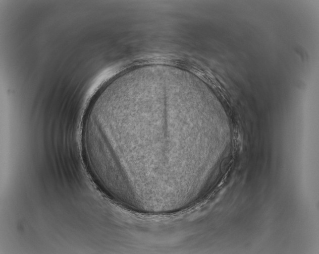 X0000112090006200908181313