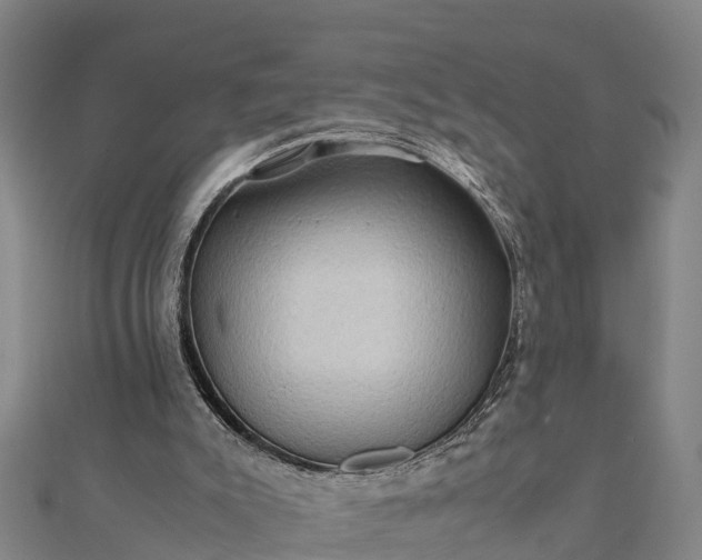 X0000112090007200908181313