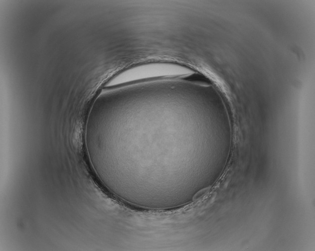 X0000112090009200908181313