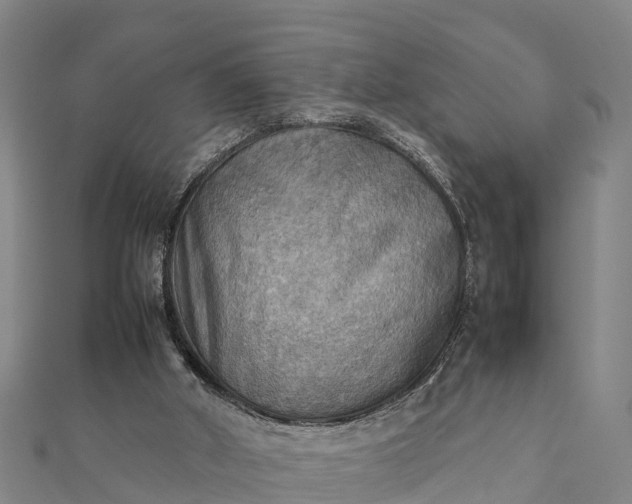 X0000112090010200908181313