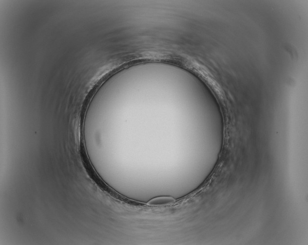 X0000112090011200908181313