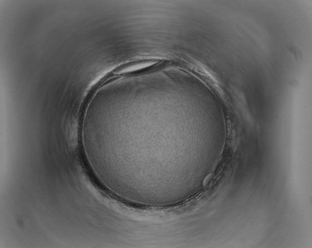 X0000112090012200908181313