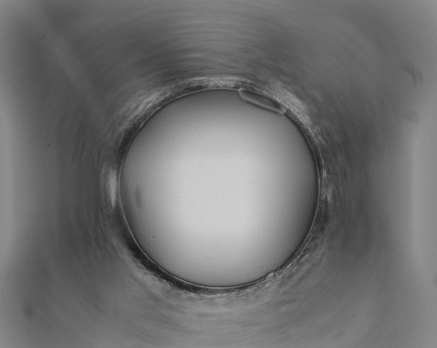 X0000112090013200908181313