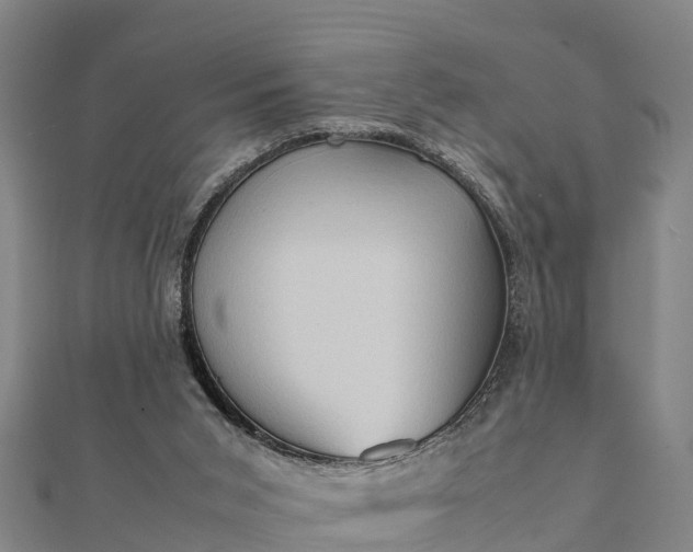 X0000112090015200908181313