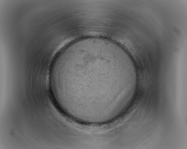 X0000112090016200908181313