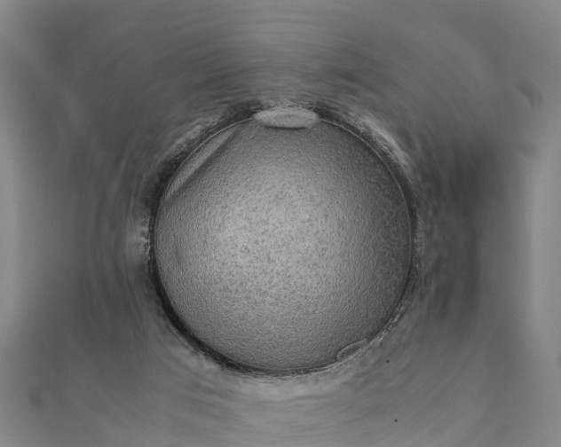 X0000112090017200908181313