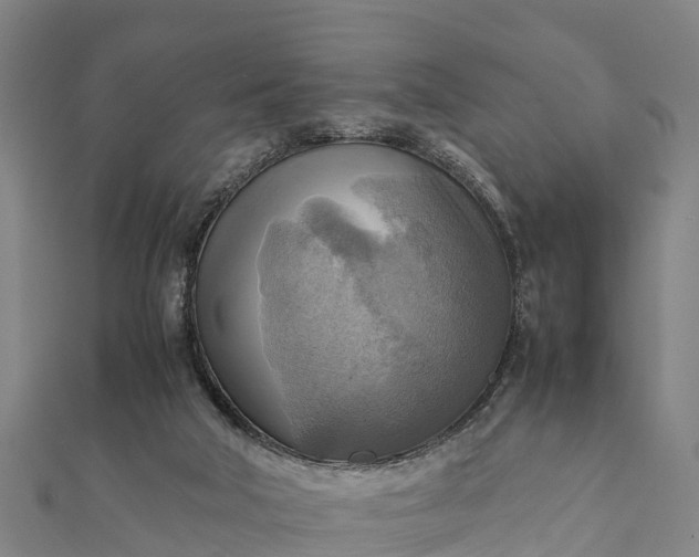 X0000112090018200908181313