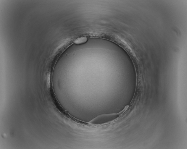 X0000112090019200908181313