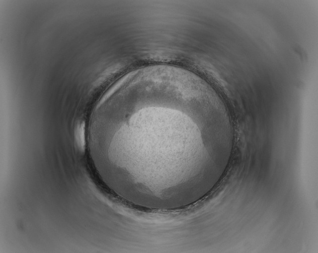 X0000112090020200908181313