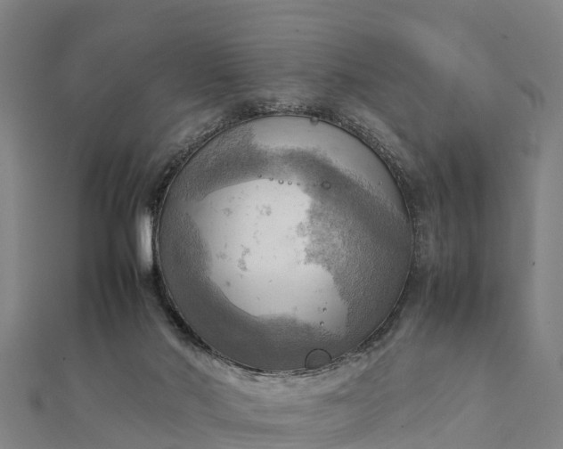 X0000112090022200908181313