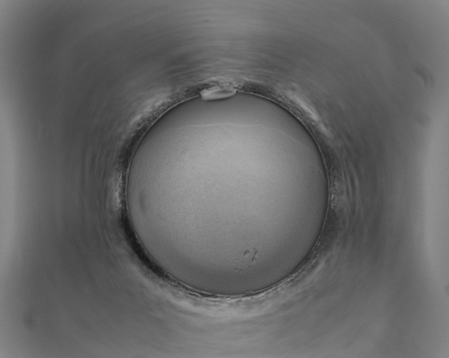 X0000112090023200908181313