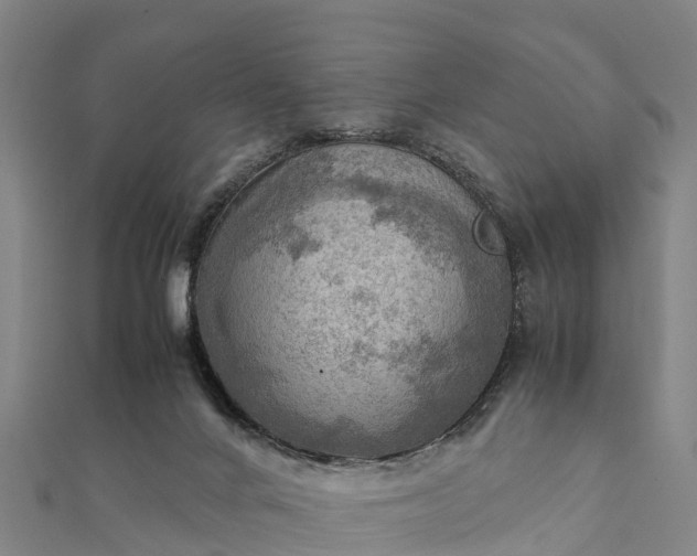 X0000112090024200908181313