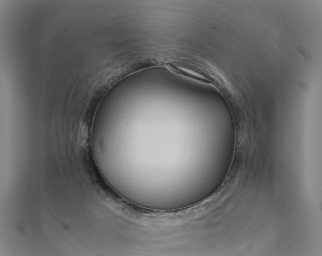 X0000112090025200908181313